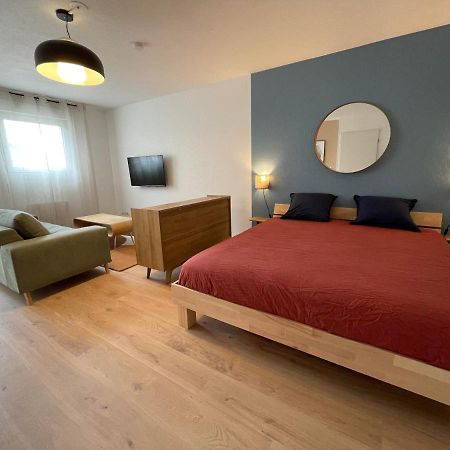 Apartament Grand Studio Joli Coeur - Calme Cosy Lumineux + Parking Nancy Zewnętrze zdjęcie